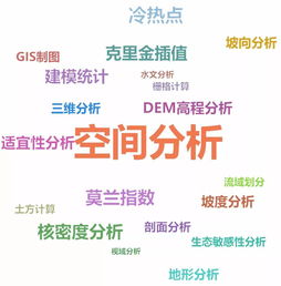 即刻開啟高效數據處理之旅——小派全新推出中小型數據處理分析服務